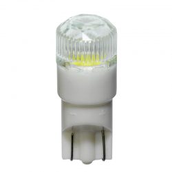 LED Xenon White T-10 +Cap 12V 2stuks